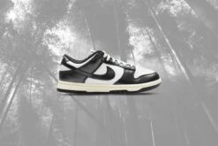 Nike Women's Dunk Low 'Vintage Panda' - White/Black/Coconut Milk 9 Nike Women's Dunk Low 'Vintage Panda' - White/Black/Coconut Milk -Best Shoes Shop Nike Dunk Low PRM Women s White Black Coconut Milk FQ8899 100 10 09 23 Feature VR a6919cd1 63cb 43a0 b4df 71f01c07c1ee