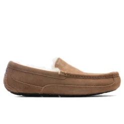 Ugg Ascot Slipper - Chestnut