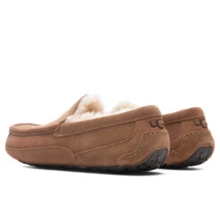 Ugg Ascot Slipper - Chestnut 6 Ugg Ascot Slipper - Chestnut -Best Shoes Shop UGG Ascot Slipper Chestnut 1101110 CHE 10 30 2021 01 3