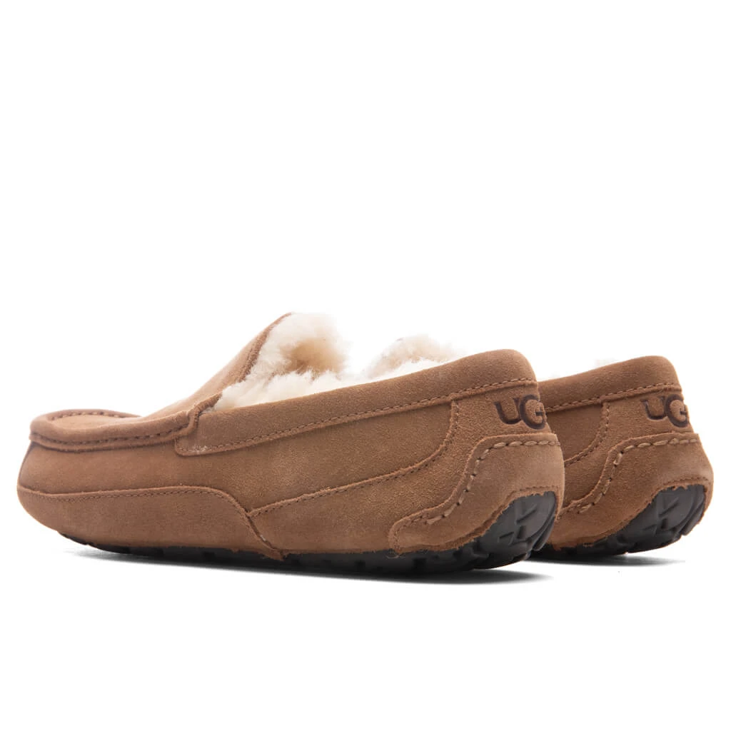 Ugg Ascot Slipper - Chestnut 3 Ugg Ascot Slipper - Chestnut - Image 3