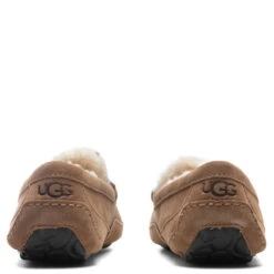 Ugg Ascot Slipper - Chestnut 7 Ugg Ascot Slipper - Chestnut -Best Shoes Shop UGG Ascot Slipper Chestnut 1101110 CHE 10 30 2021 01 4