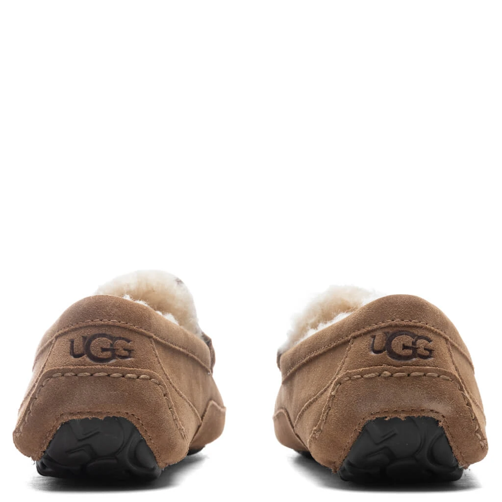 Ugg Ascot Slipper - Chestnut 4 Ugg Ascot Slipper - Chestnut - Image 4