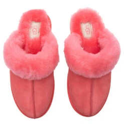 Ugg Women's Scuffette II Slipper - Strawberry Sorbet -Best Shoes Shop UGG Women s Scuffette II Slipper Strawberry Sorbet 1106872 SSBT 04 20 2021 01 4